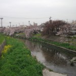 DSCF0002